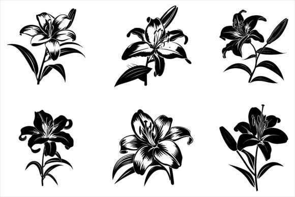 Download Lily Flower Silhouette Vector - Premium Resources