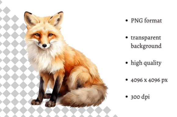 Download Watercolor Woodland Fox PNG Clipart - Woodland fox Collection