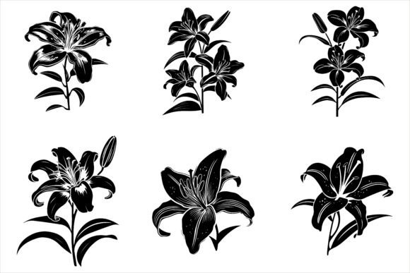 Download Lily Flower Silhouette Vector - Premium Resources