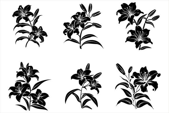 Download Lily Flower Silhouette Vector - Premium Resources